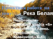 Проектная работа по биологии на тему Белая река- чистые берега!
