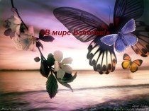 В мире бабочек