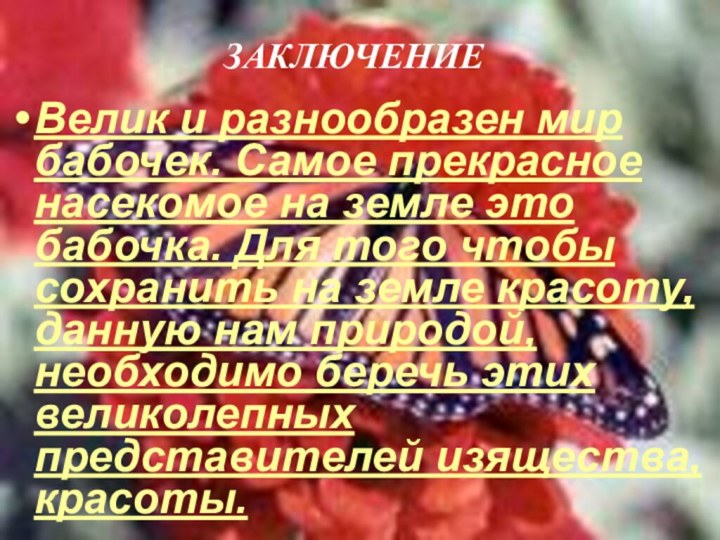 Велик и разнообразен мир бабочек. Самое прекрасное насекомое на земле это бабочка.