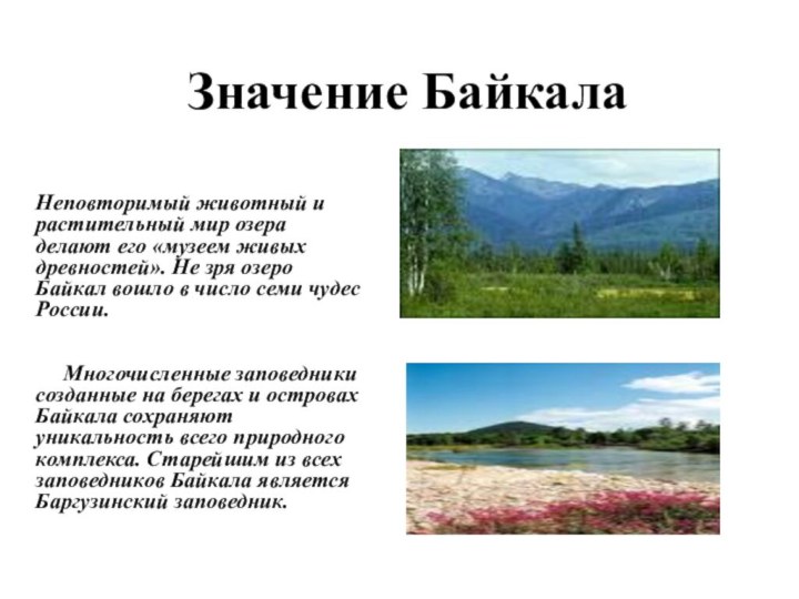 Значение БайкалаНеповторимый животный и растительный мир озера делают его «музеем живых древностей».