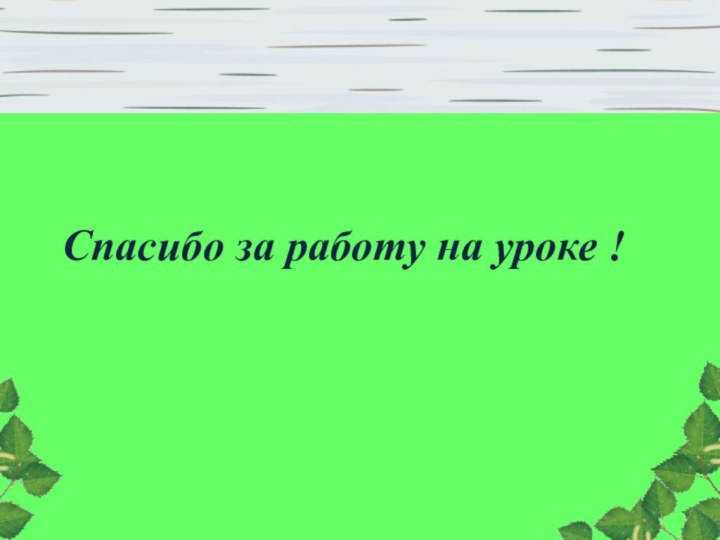 Спасибо за работу на уроке !