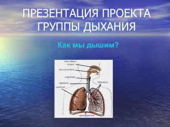 Презентация по теме :Как мы дышим?