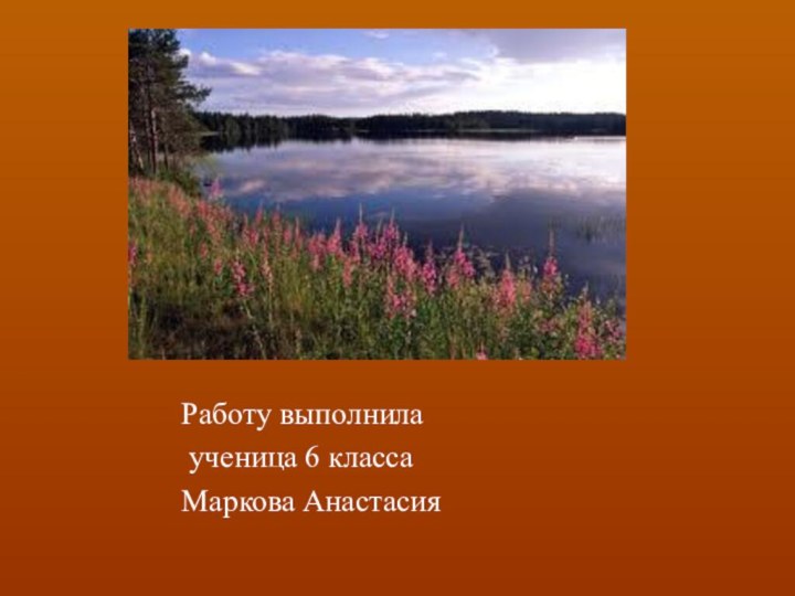 Работу выполнила ученица 6 класса Маркова Анастасия