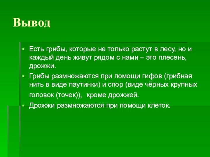 Вывод Есть грибы, которые не только растут в лесу, но и каждый