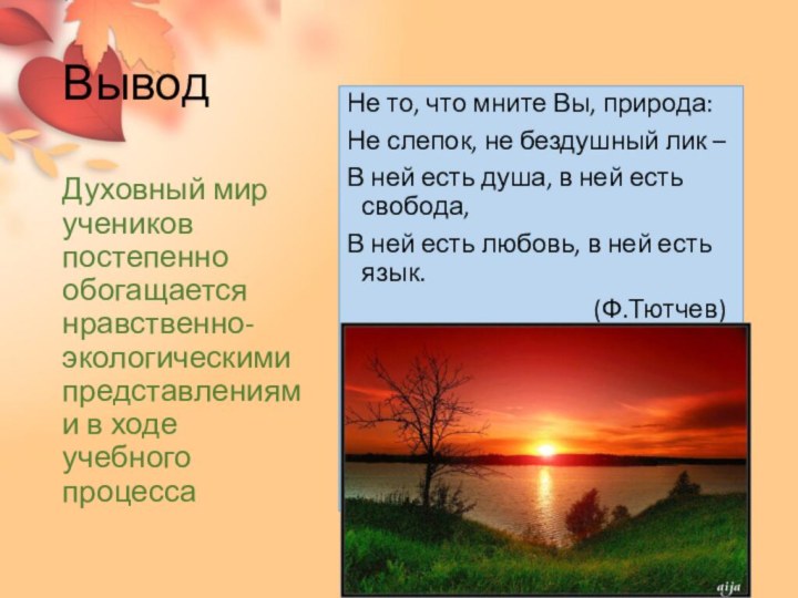 ВыводНе то, что мните Вы, природа:Не слепок, не бездушный лик – В