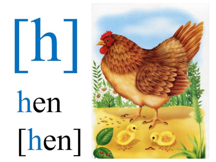 [h]hen[hen]