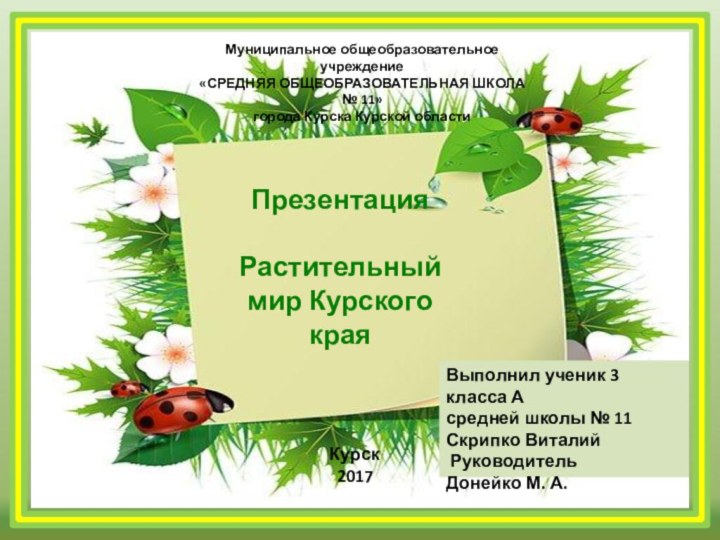 Муниципальное общеобразовательное учреждение «СРЕДНЯЯ ОБЩЕОБРАЗОВАТЕЛЬНАЯ ШКОЛА № 11» города Курска Курской областиВыполнил