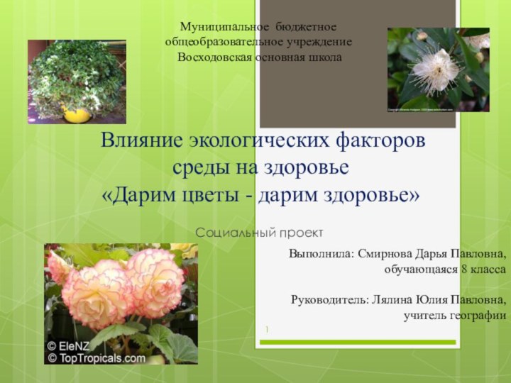 Влияние экологических факторов среды на здоровье «Дарим цветы - дарим здоровье»