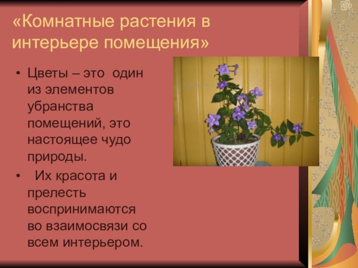 «Комнатные растения в интерьере помещения»Цветы – это один из элементов убранства помещений,