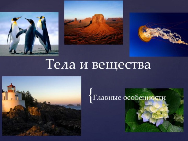 Главные особенностиТела и вещества