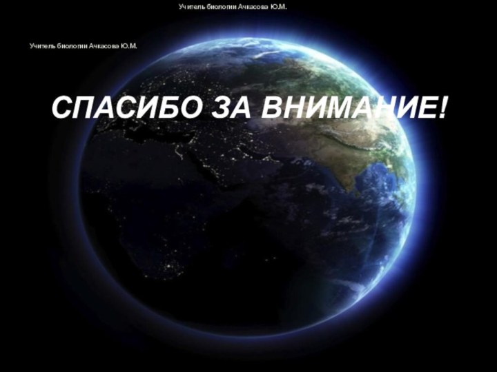 Учитель биологии Ачкасова Ю.М.СПАСИБО ЗА ВНИМАНИЕ!Учитель биологии Ачкасова Ю.М.