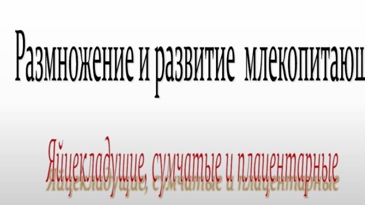 Размножение и развитие млекопитающих Яйцекладущие, сумчатые и плацентарные