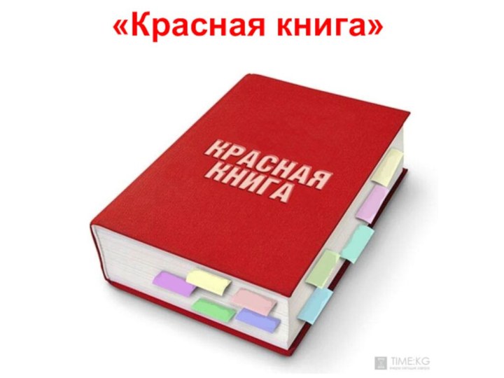 «Красная книга»