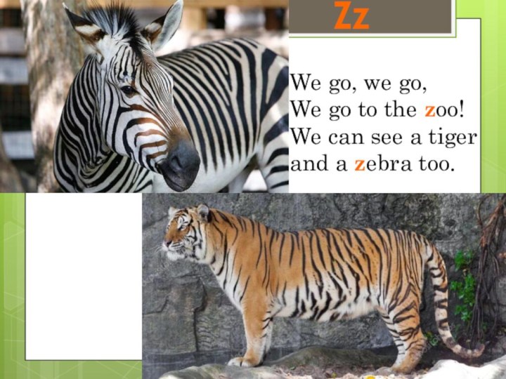 ZzWe go, we go,We go to the zoo!We can see a tiger and a zebra too.