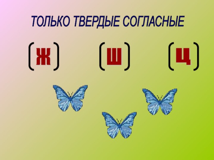 ШЖЦТОЛЬКО ТВЕРДЫЕ СОГЛАСНЫЕ