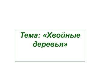 Презентация по окружающему миру Хвойные деревья 1 класс