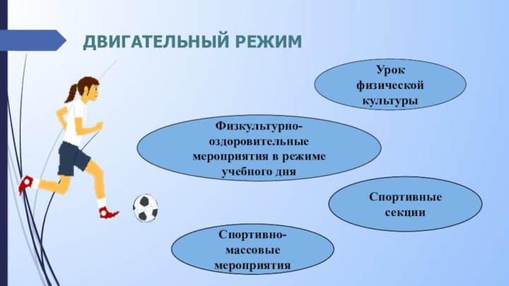 Двигательный режимУрок физическойкультурыФизкультурно-оздоровительные мероприятия в режиме учебного дняСпортивные секцииСпортивно-массовые мероприятия