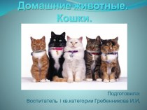 Презентация к воспитательскому занятию Домашние животные, Кошки