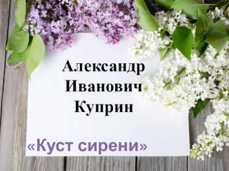 Презентация по литературе по рассказу И.Куприна Куст сирени