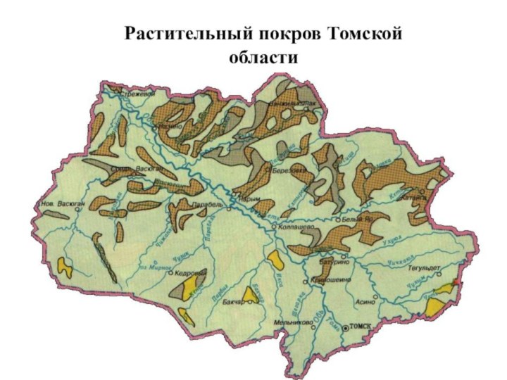 Растительный покров Томской области