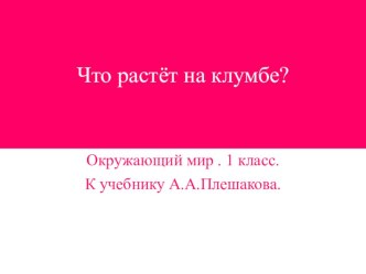 Презентация по окружающему миру 1 класс Что растёт на клумбе