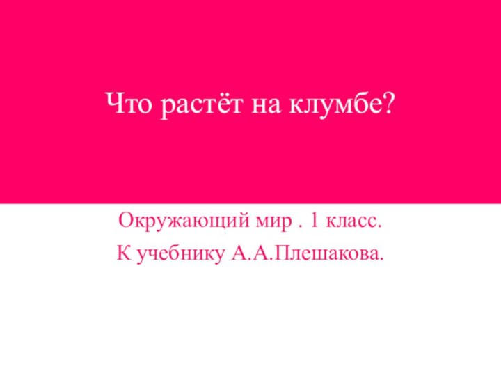 Что растёт на клумбе?Окружающий мир . 1 класс.К учебнику А.А.Плешакова.