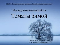 Исследовательская работа по биологии для 6 клаcса Томаты зимой (содержит презентацию)