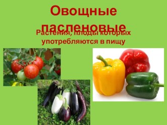 Презентация к уроку естествознания в 7 классе на тему: Овощные паслёновые