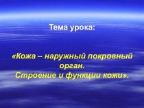 Презентация по биологии на тему: Кожа -наружный покровный орган