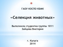 Презентация по биологии на тему Селекция животных