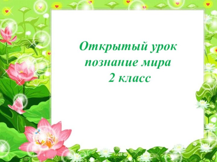 Открытый урок по познанию мира во 2 классеОткрытый урок познание мира 2 класс