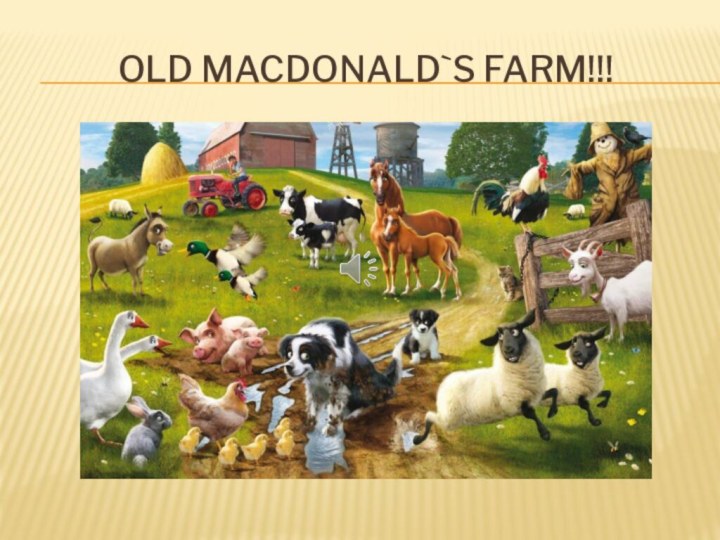 Old mAcdonald`s farm!!!