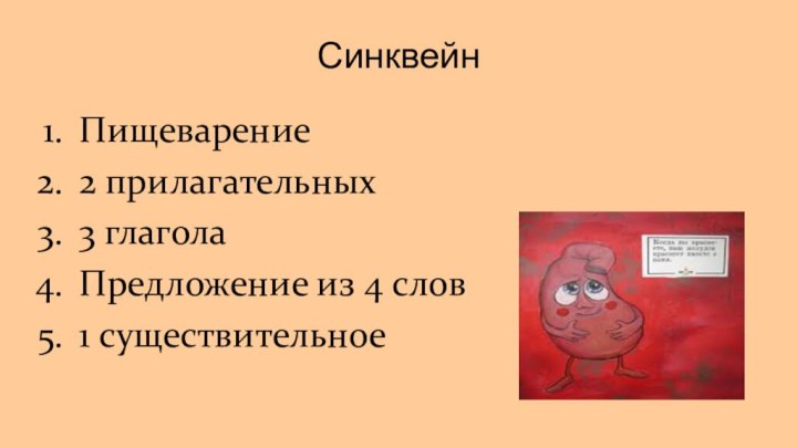 СинквейнПищеварение2 прилагательных3 глаголаПредложение из 4 слов1 существительное