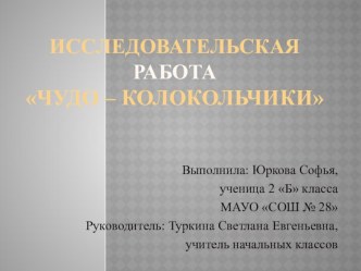 Исследовательская работа Чудо - колокольчики, 2 класс