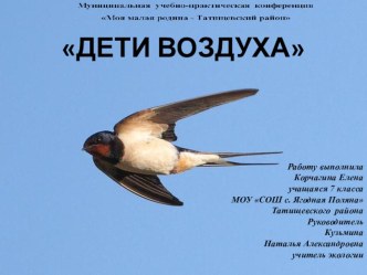 Презентацияк исследовательскому проекту по экологии Дети воздуха