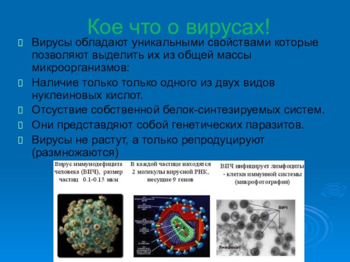 Кое что о вирусах!Вирусы обладают уникальными свойствами которые позволяют выделить их из