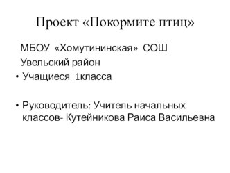 Проект по программе внеурочной деятельности Юный эколог Покормите птиц