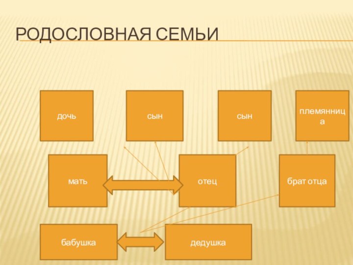 дочьбабушкадедушкаматьотецбрат отцасынсынплемянницаРодословная семьи