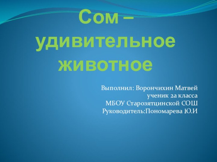 Сом – удивительное животноеВыполнил: Ворончихин Матвейученик 2а классаМБОУ Старозятцинской СОШ Руководитель:Пономарева Ю.И