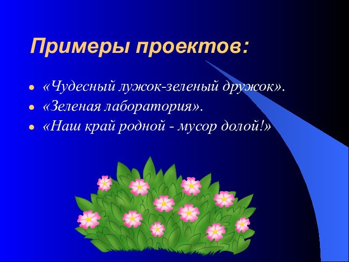 Примеры проектов: «Чудесный лужок-зеленый дружок». «Зеленая лаборатория». «Наш край родной - мусор долой!»