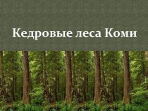 Презентация по биологии Кедровые леса Коми