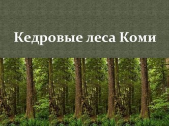 Презентация по биологии Кедровые леса Коми