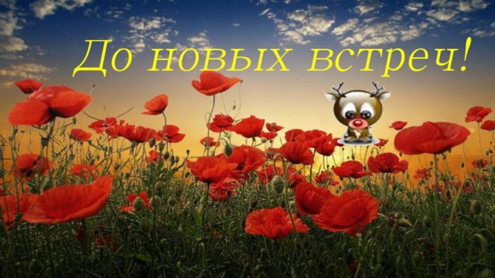 До новых встреч!