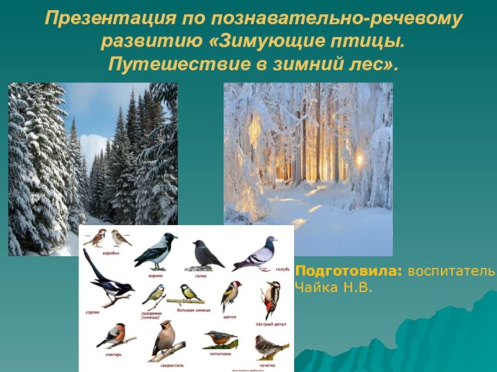Презентация по познавательно-речевому развитию «Зимующие птицы.  Путешествие в зимний лес».Подготовила: воспитатель Чайка Н.В.
