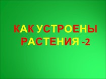 Презентация по окружающему миру Стебли бывают разные 1 класс