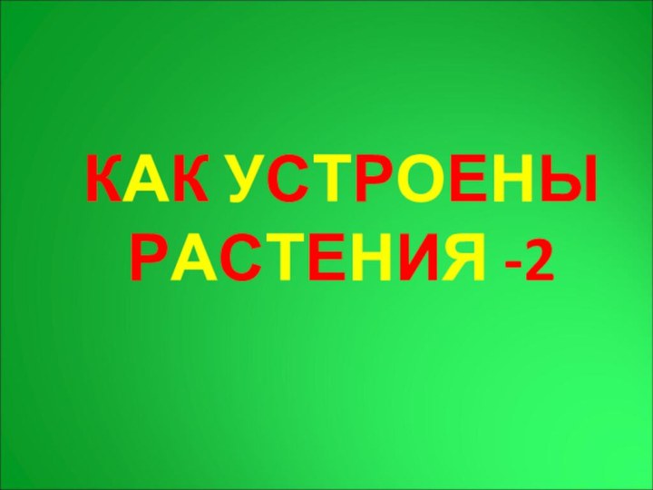 КАК УСТРОЕНЫ РАСТЕНИЯ -2