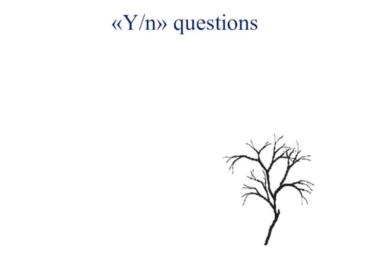 «Y/n» questions