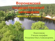 Презентация по географии на тему: Воронежский заповедник.