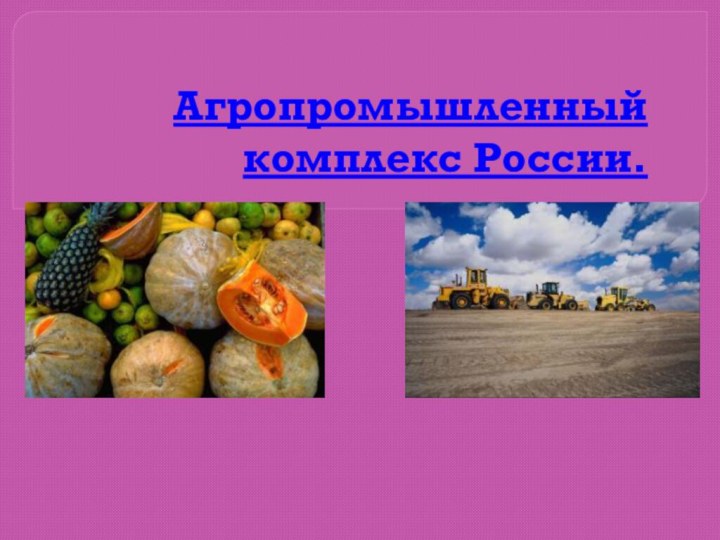 Агропромышленный комплекс России.