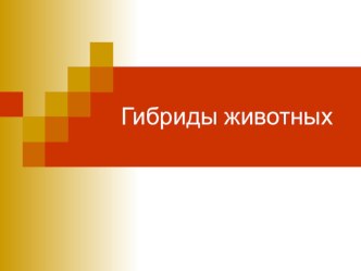 Презентация по биологии на тему:Гибридные животные